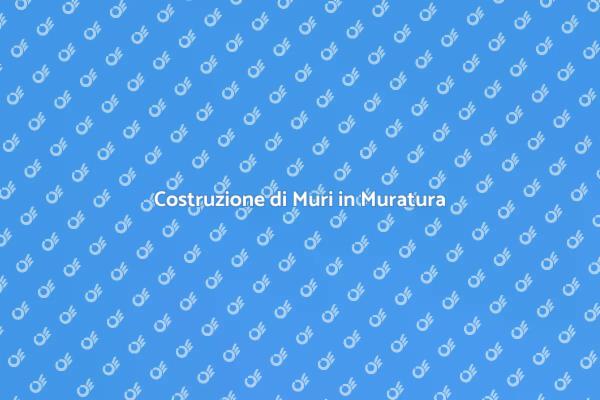 Realizzazione Professionale di Muri