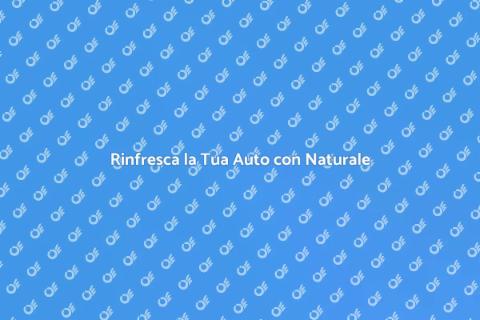 Pulizia Veicolo con Prodotti Naturali