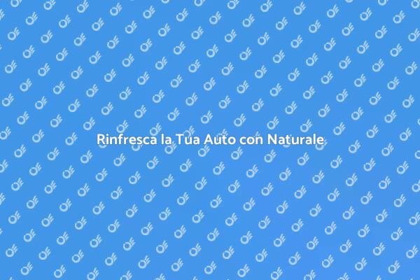 Guida alla Pulizia Naturale dell'Auto