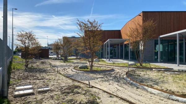 Il Podere San Fiorano S.S. - Foto 13