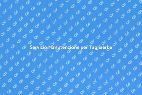 Manutenzione Tagliaerba: Servizio Essenziale