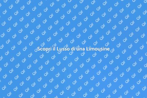 Limousine: Viaggio nel Lusso con Ernesto