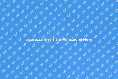 Professionista Rimozione Neve e Ghiaccio