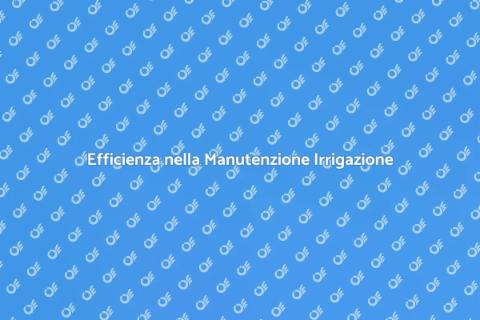 Manutenzione Programmata Irrigazione