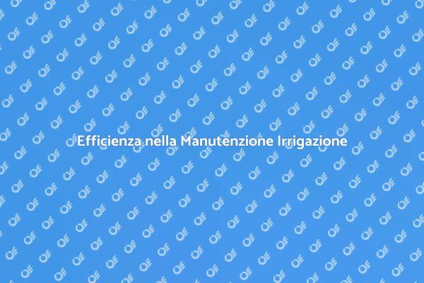 Ottimizza la tua Irrigazione Programmata