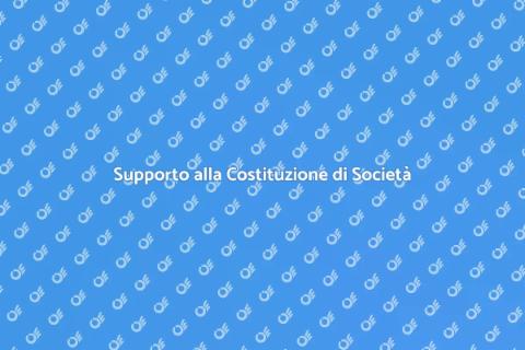 Assistenza Costituzione Società
