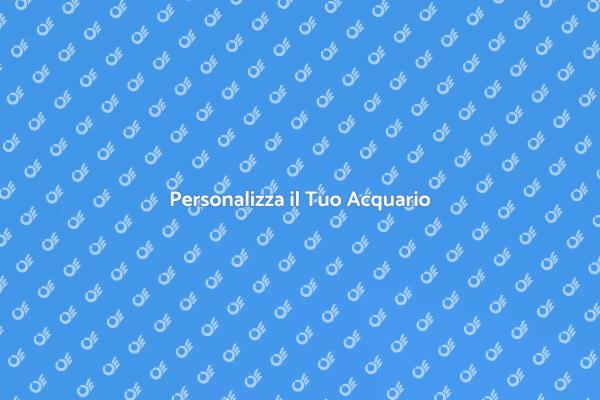 L'Arte di Personalizzare il Tuo Acquario