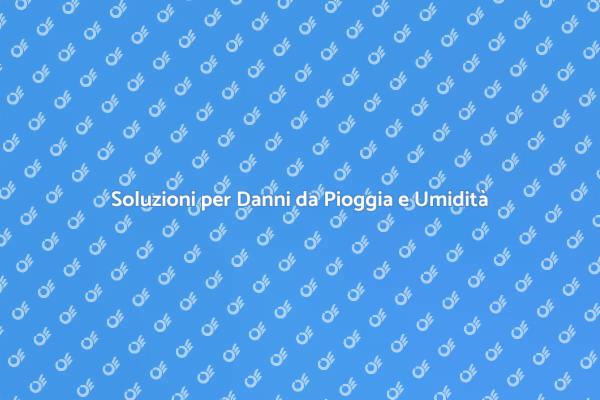 Combatti i Danni di Pioggia e Umidità