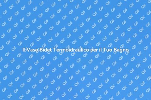 Vaso Bidet Termoidraulico: Comfort e Stile