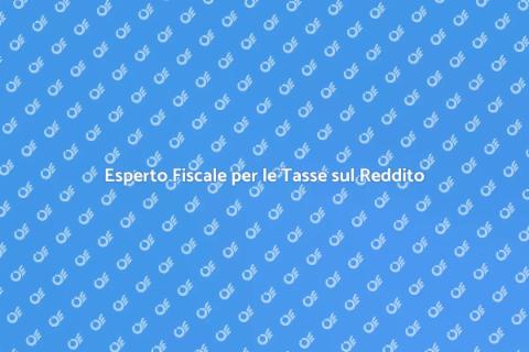 Commercialista per le Imposte sul Reddito