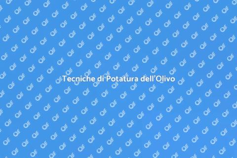 Potatura Olivo: Guida alla Raccolta