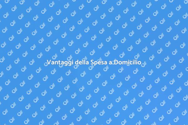 La Spesa a Domicilio che Ti Serve