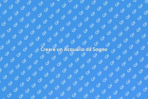 Installazione Acquario in Casa