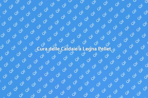 Manutenzione Caldaie a Legna e Pellet