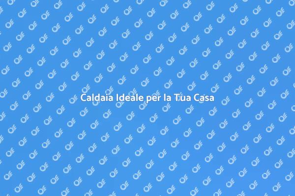 Caldaia Perfetta per Ogni Esigenza