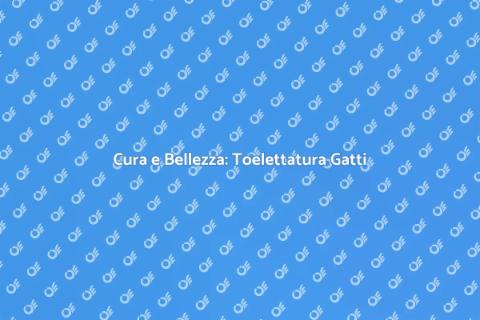 Toelettatura Gatto: Cura e Benessere