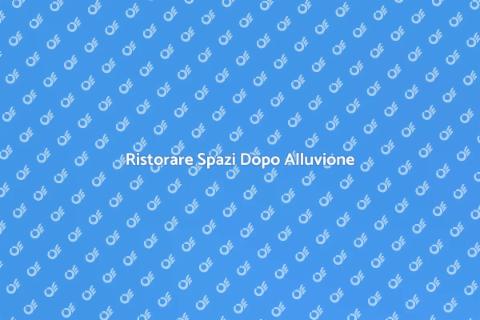Riparazione Danni da Alluvione