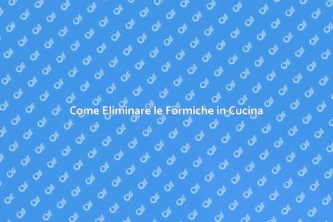 Disinfestazione Formiche in Cucina