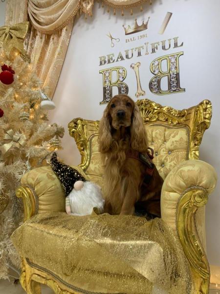 Beautiful - Foto 14