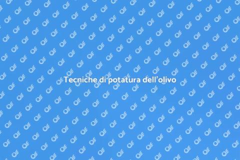 Potatura dell'olivo: arte e tecnica
