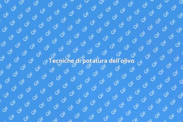 L'arte della potatura dell'olivo