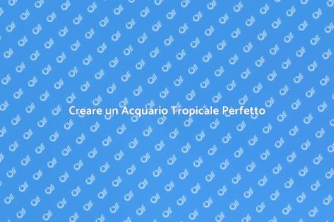 Acquario per Pesci Tropicali: Guida
