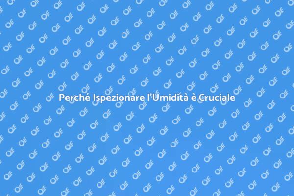 Ispezione dell’Umidità: Scopri i Vantaggi