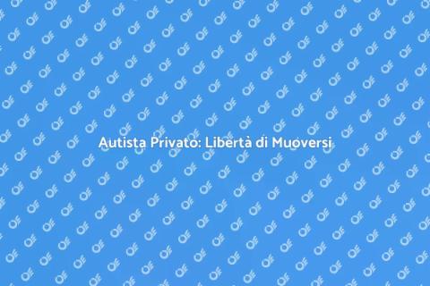 Servizio Autista Privato in Città