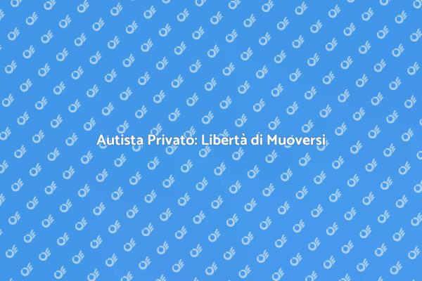 Muoviti con un Autista Privato in Città