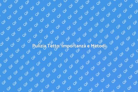 Rimuovere Sporcizia dal Tetto