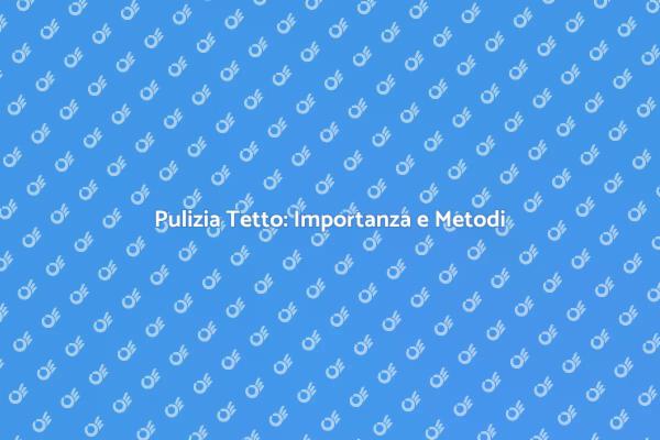 Manutenzione Tetto: Rimuovi la Sporcizia