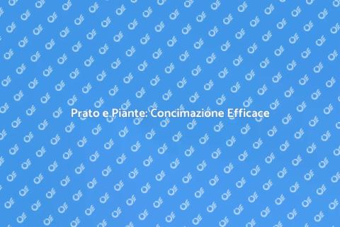 Concimazione Prato e Piante: Guida