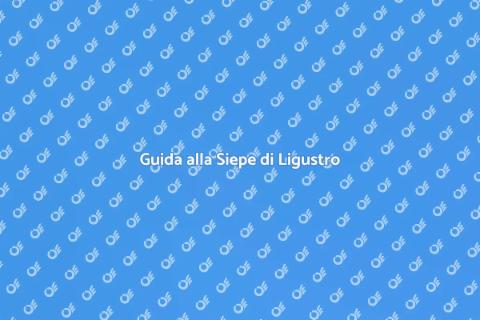 Coltivare Siepe di Ligustro Facile