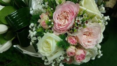 L'Angolo in Fiore  - Foto 3