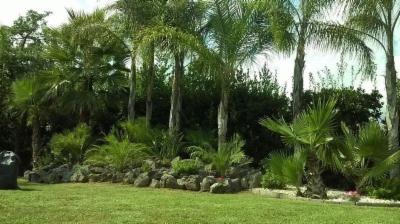 Sicil Verde  - Foto 6