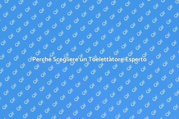 Toelettatura: Un Must per il Tuo Cane