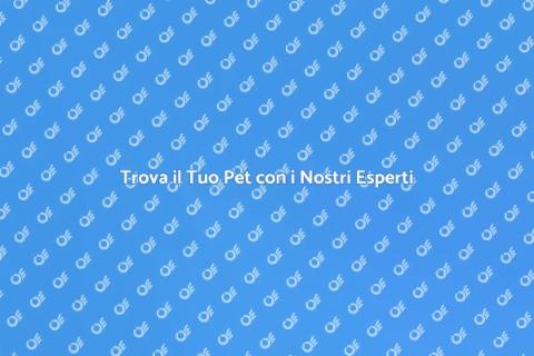 Servizio Pet Detective per Animali Persi