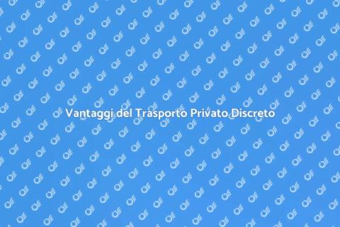 Autista Privato Discreto: Vantaggi