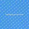 Dog Sitting: Sicurezza per Cani Diffidenti