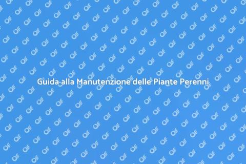 Manutenzione Piante Perenni: Guida Essenziale