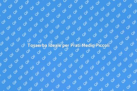 Tosaerba a Spinta per Prati Piccoli
