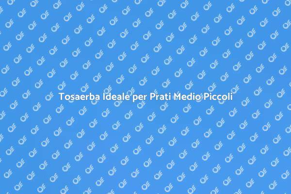 Il Tosaerba Perfetto per il Tuo Giardino