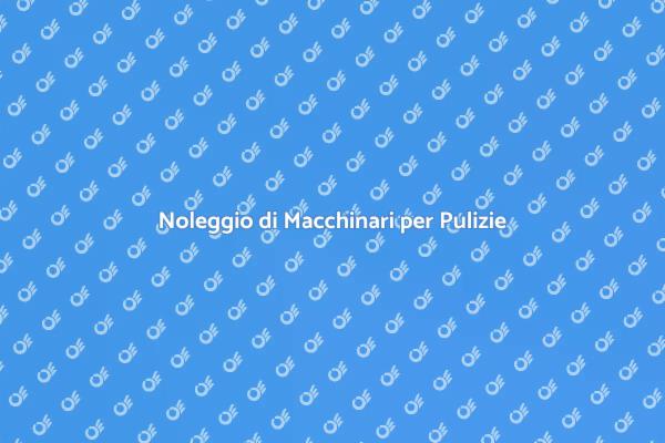 Macchinari Noleggiabili per Pulizie