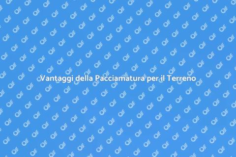 Pacciamatura: Cura del Terreno Efficace