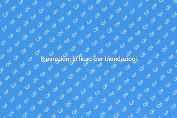 Interventi Professionali per Inondazioni
