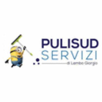Pulisud Servizi  - Foto 1
