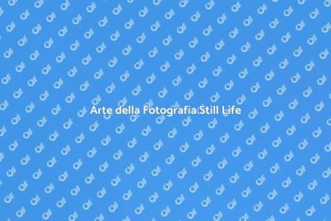 Book Fotografico di Still Life