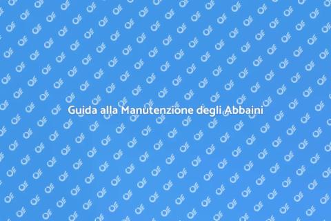 Manutenzione Tetti con Abbaini