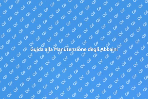 Come Mantenere i Tetti con Abbaini