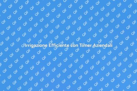 Timer per Irrigazione Parchi Aziendali